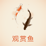 中國觀賞魚