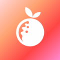 橙子好物软件