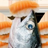 鲑鱼吃寿司小